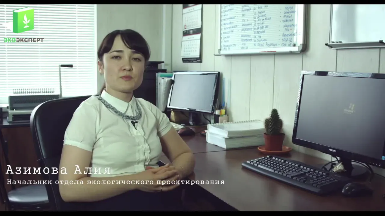 Кадр из видео: Экологическое проектирование и согласование документации