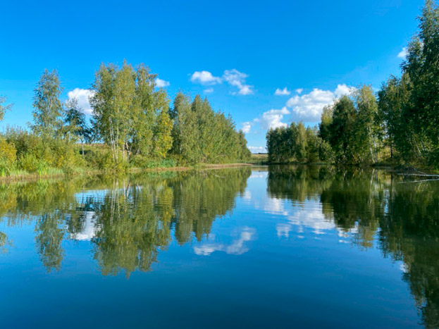 Пруд Верзилово на р. Сиринья