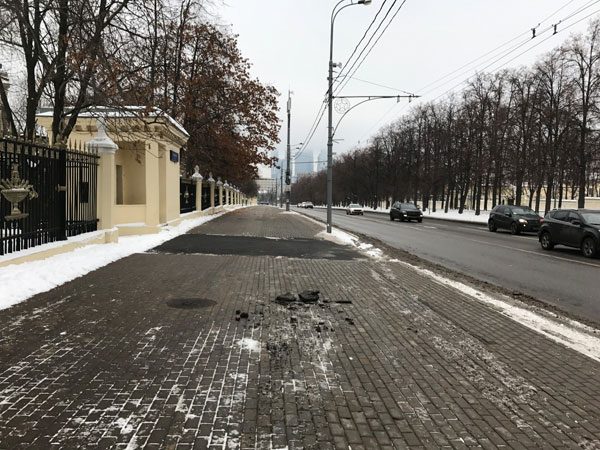 проведение экологических изысканий на ул. Косыгина