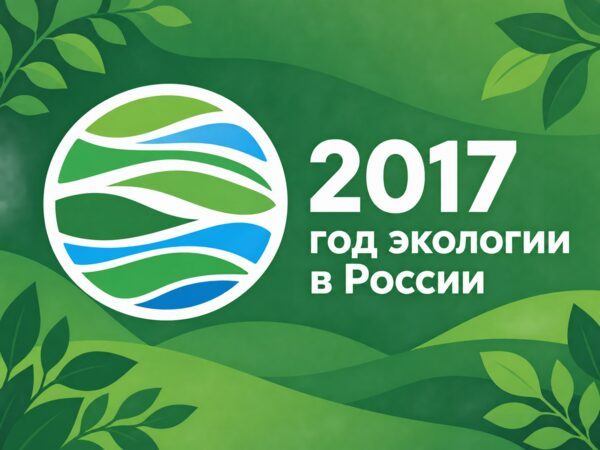 Зелёная иллюстрация с экологической эмблемой и надписью «2017 год экологии в России».