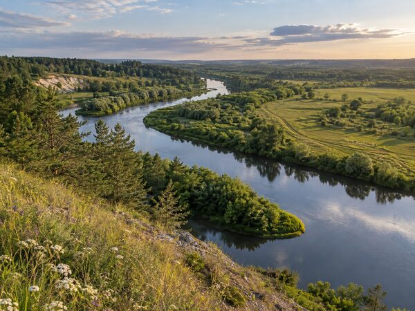 Вид с холма на извилистую реку с зелёными берегами, деревьями и полями.