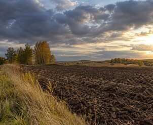 Борозды вспаханного поля, лесополоса и сухая трава под облачным закатным небом.